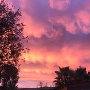 Meet your Posher, Yaneli